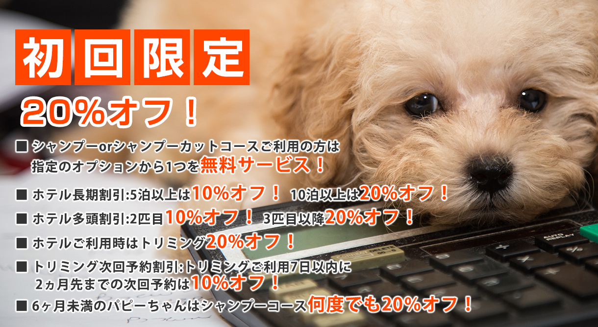 割引サービス