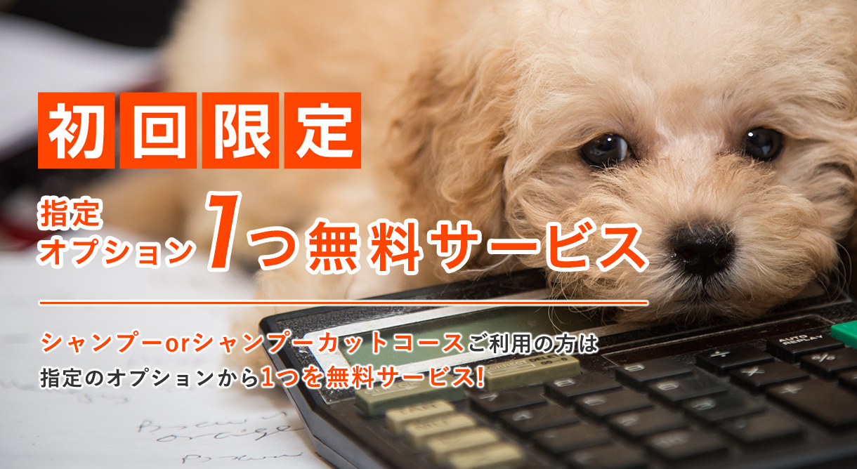 割引サービス