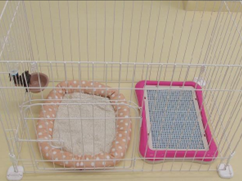 お泊りのお部屋