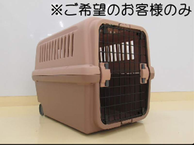 お泊りのお部屋