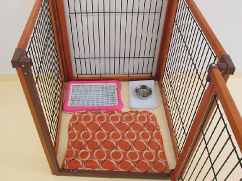お泊りのお部屋