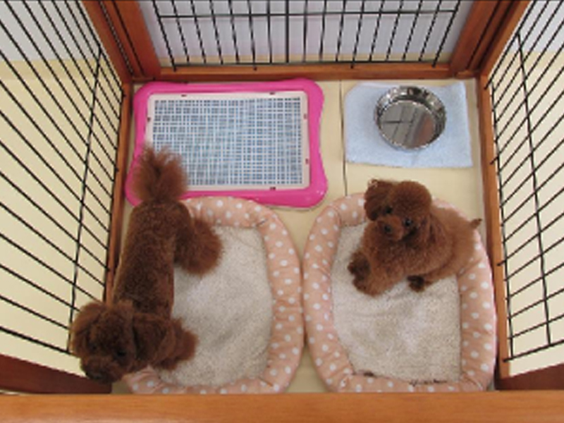お泊りのお部屋
