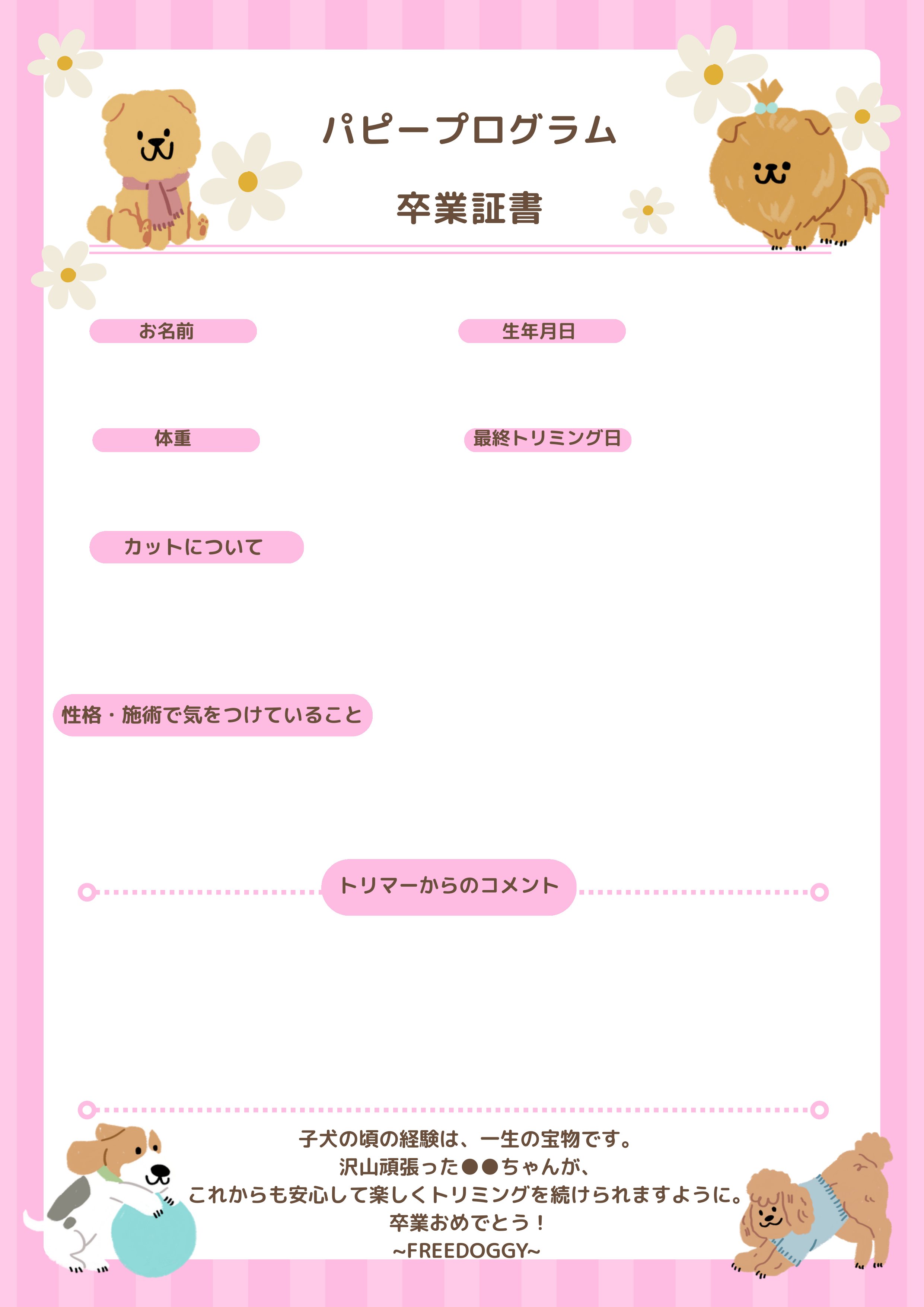 パピープログラム卒業証書イメージ